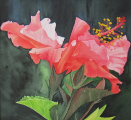Paintings/Hibiscus2bweb.jpg