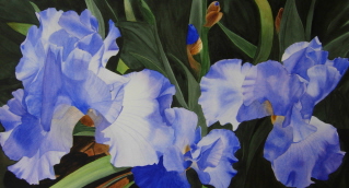 Paintings/Irisesweb.jpg